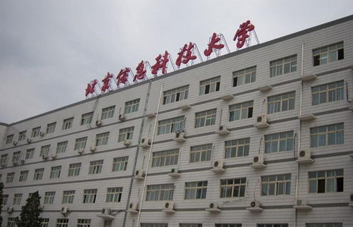 青春奉獻，科技賦能——記北京信息科技大學青年志愿者協會的信息技術咨詢志愿服務